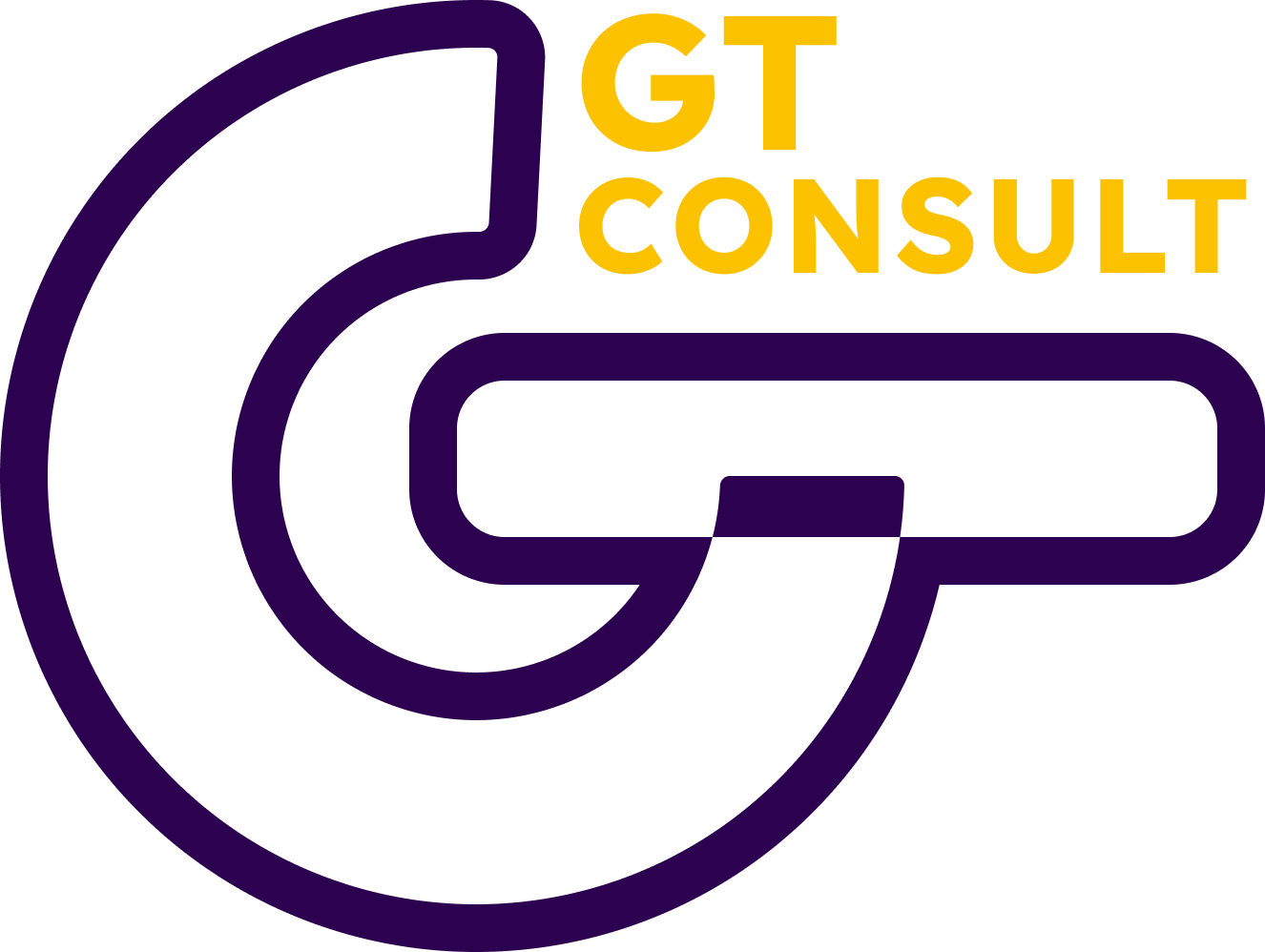 GT CONSULT
