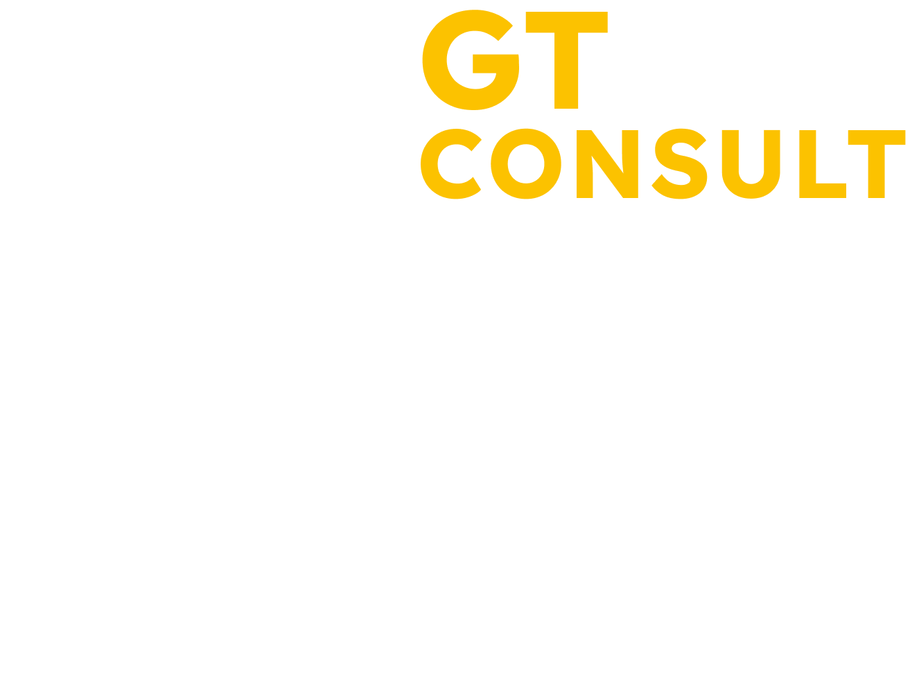 GT CONSULT